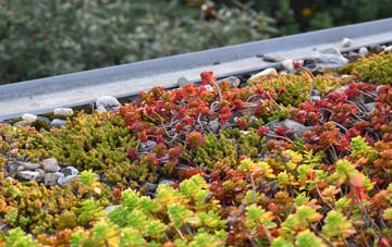 the cost of Hockering Heath green roof installation