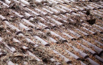 Hockering Heath roof cleaning companies