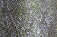 Hockering Heath fibreglass roof work